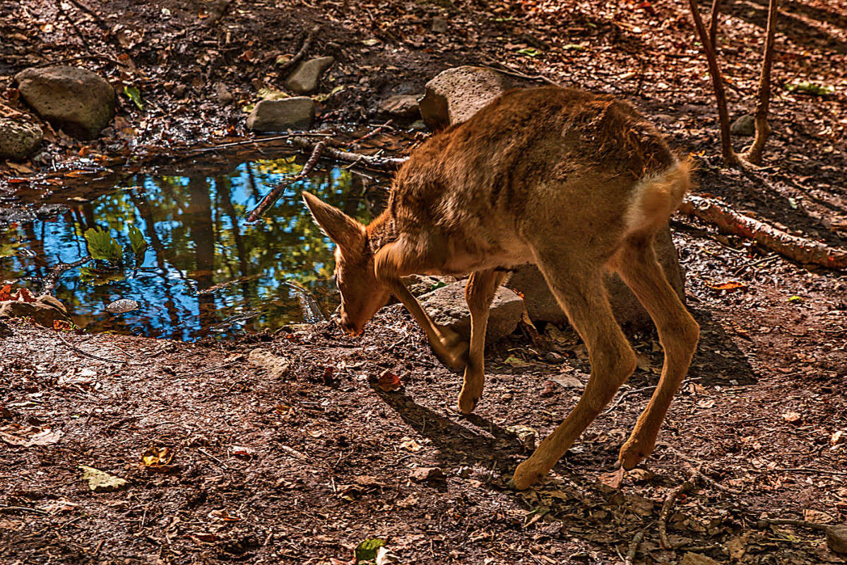 �� ������� ����� ������� ��������� �� PhotoGeek.ru #�������� ���