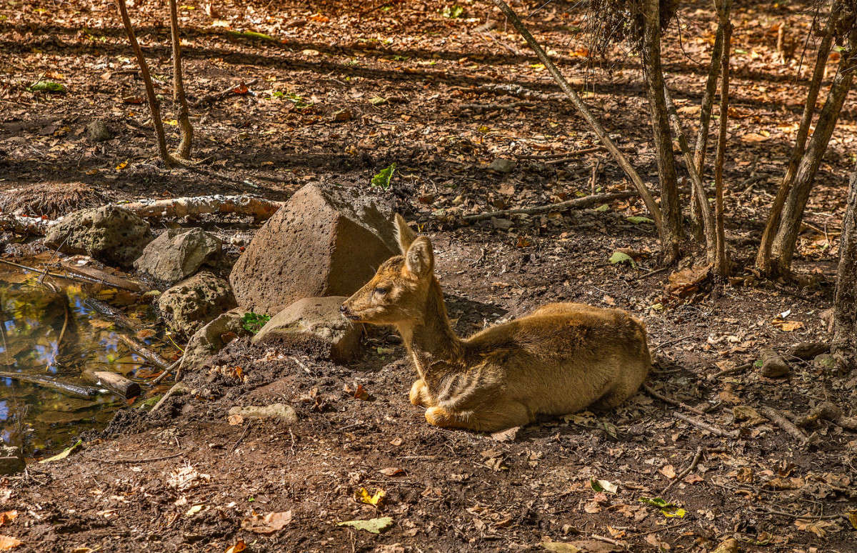 ������� �� ��� ��������� ����� ������� ��������� �� PhotoGeek.ru #������ ��� �������