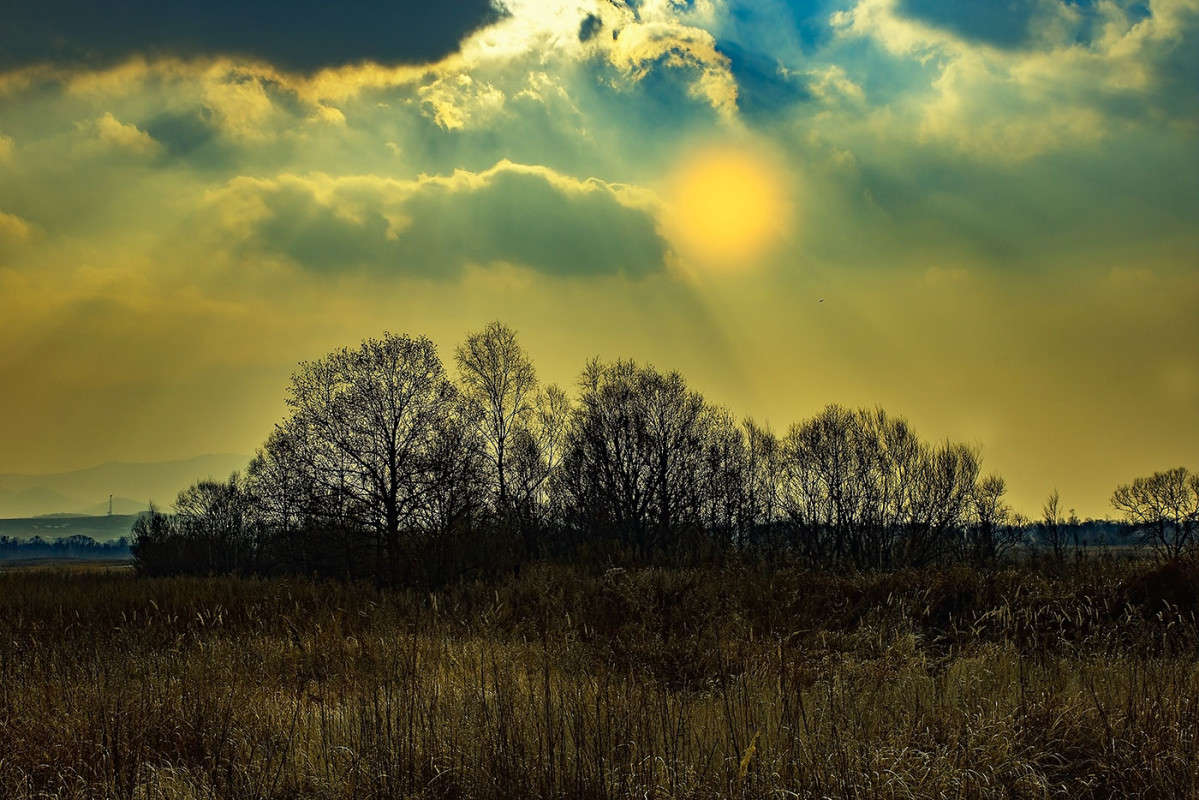 *** ����� ������� ��������� �� PhotoGeek.ru #������ ��� �������