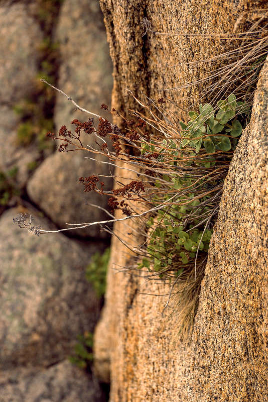 � �� ������ ������... ����� ������� ��������� �� PhotoGeek.ru #������ ��� ������� #���������