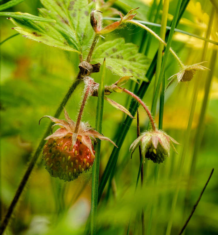 ���� ����� ����� ������� ��������� �� PhotoGeek.ru #������ ��� ������� #����� ��������������