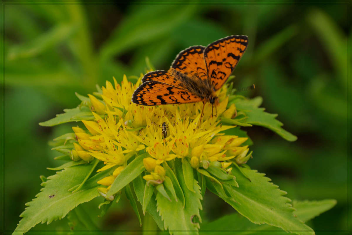 �� �����... ����� ������� ��������� �� PhotoGeek.ru #������ ��� ������� #����� ��������������