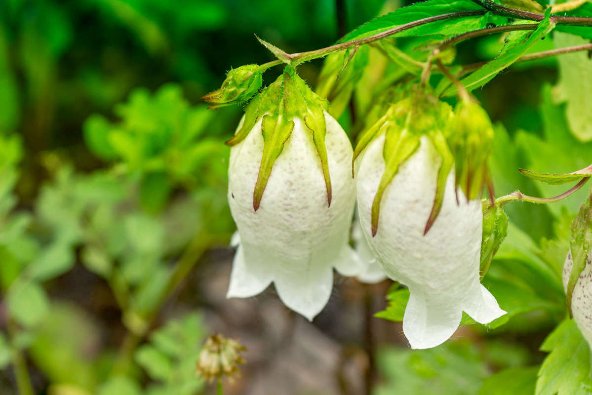 �������-����������� ����� ������� ��������� �� PhotoGeek.ru #������ ��� ������� #����� ��������������