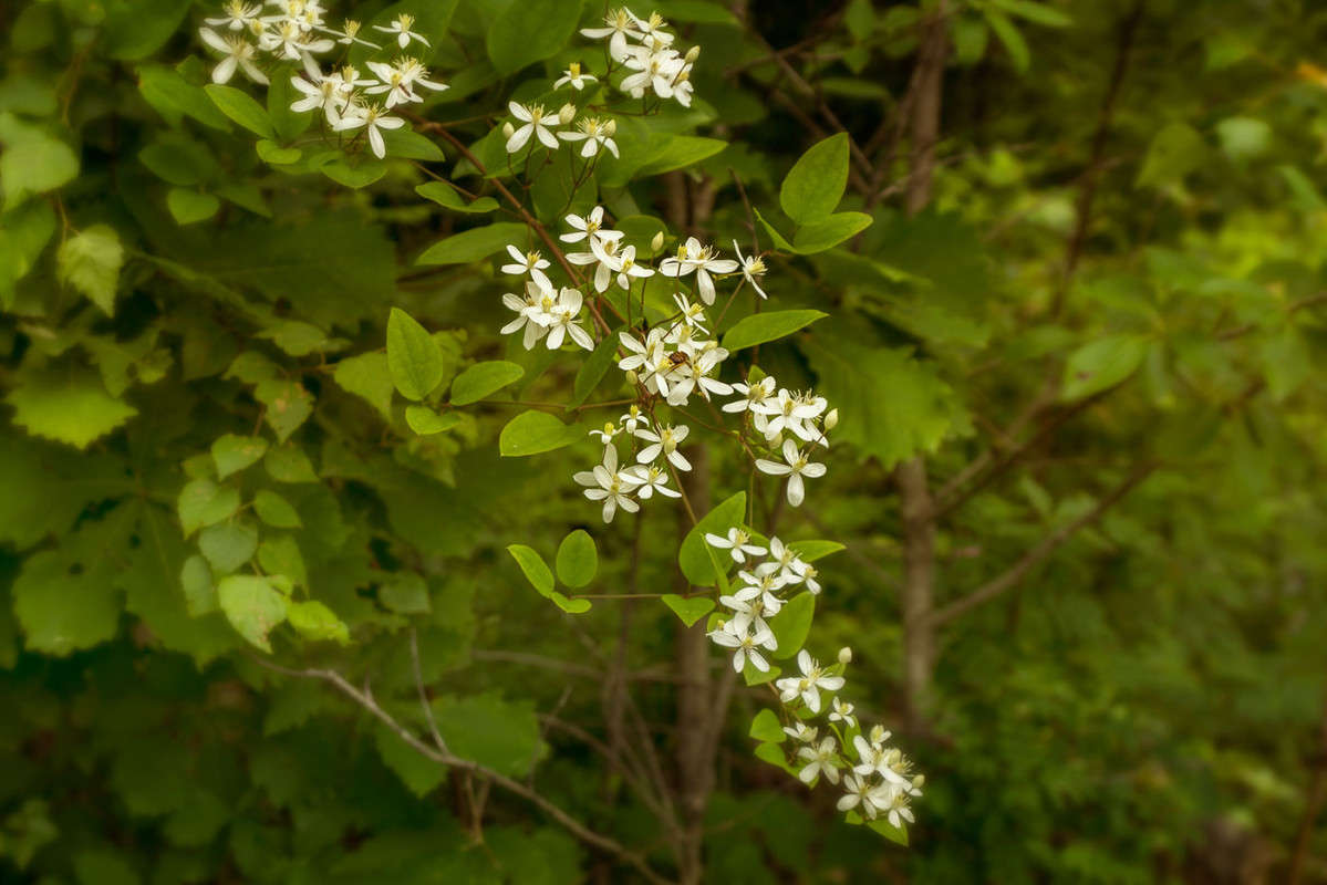 �������� ����� ����� ������� ��������� �� PhotoGeek.ru #������ ��� ������� #����� ��������������