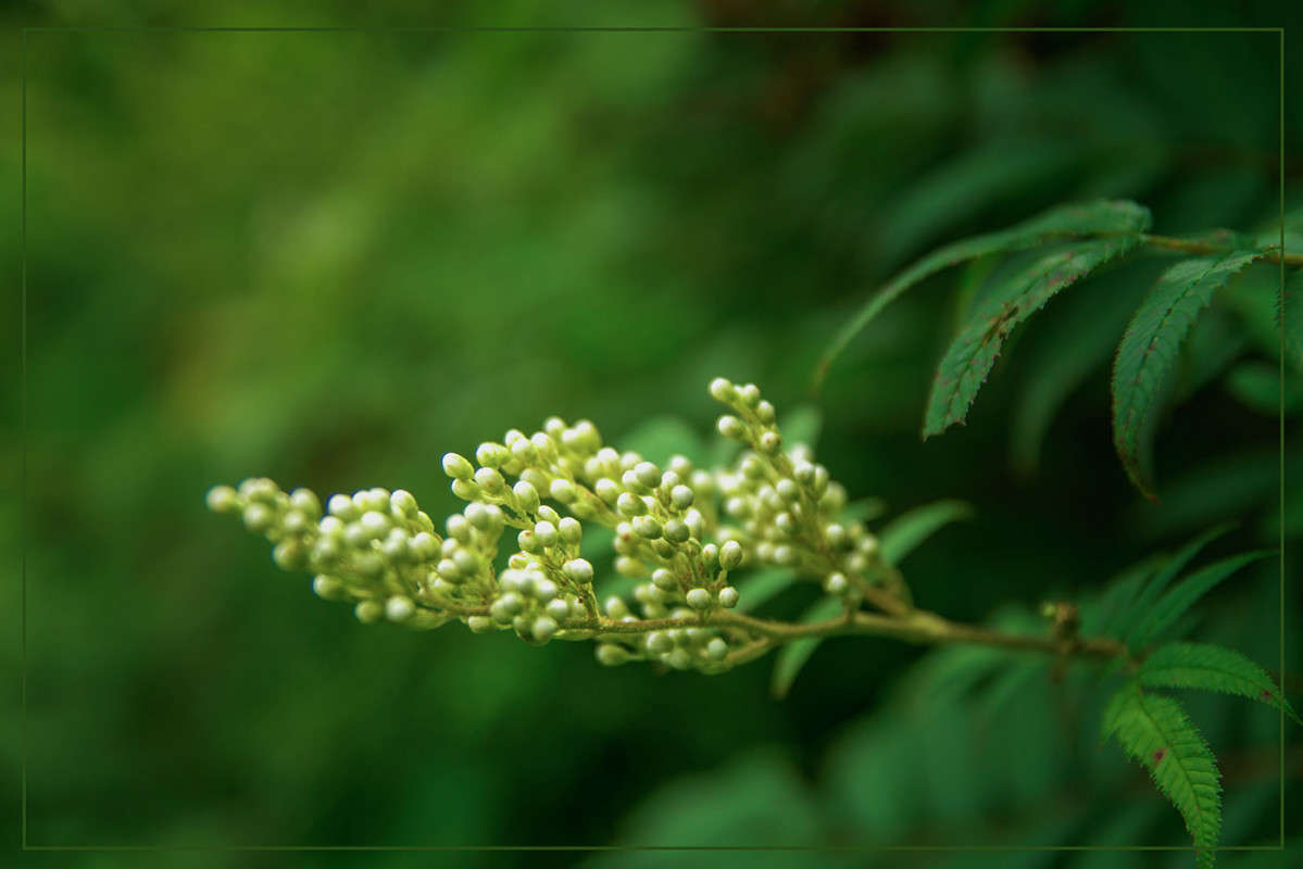 *** ����� ������� ��������� �� PhotoGeek.ru #������ ��� ������� #����� ��������