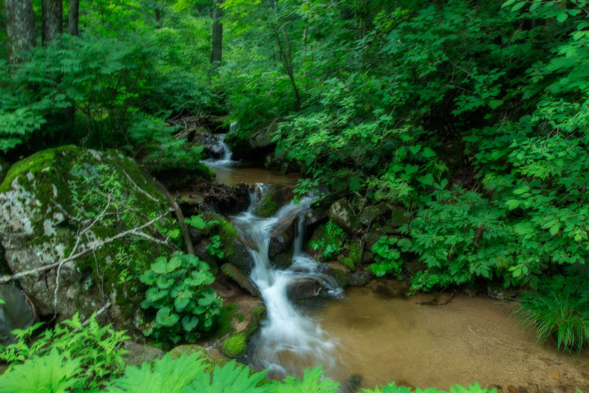 ������� ����4 ����� ������� ��������� �� PhotoGeek.ru #������ ��� �������