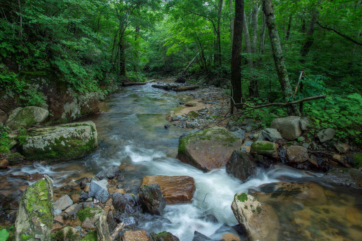 ������� ����3 ����� ������� ��������� �� PhotoGeek.ru #������ ��� �������