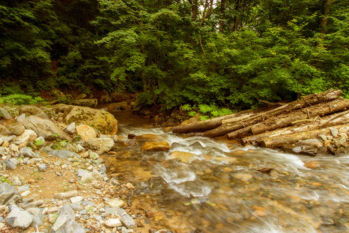 ������� ���� ����� ������� ��������� �� PhotoGeek.ru #������ ��� �������