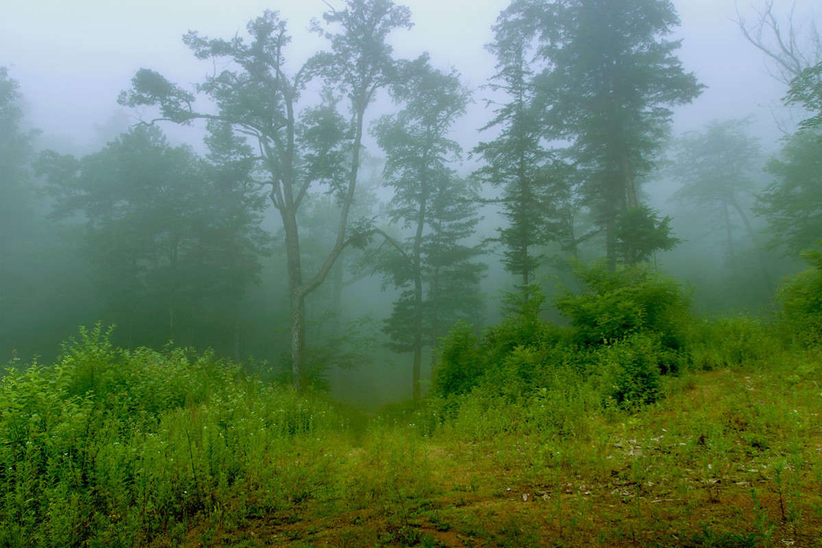 ���������� ����� ����� ������� ��������� �� PhotoGeek.ru #������ ��� �������