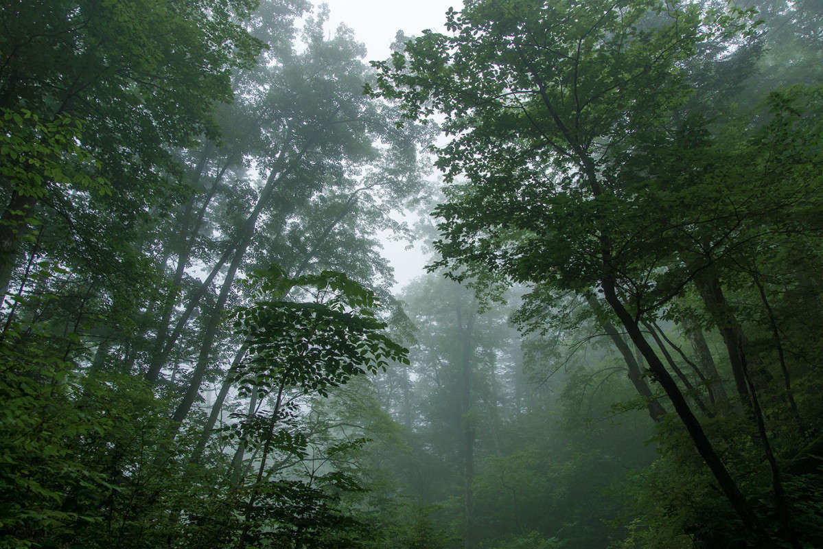 ���������� ����� 2 ����� ������� ��������� �� PhotoGeek.ru #������ ��� �������