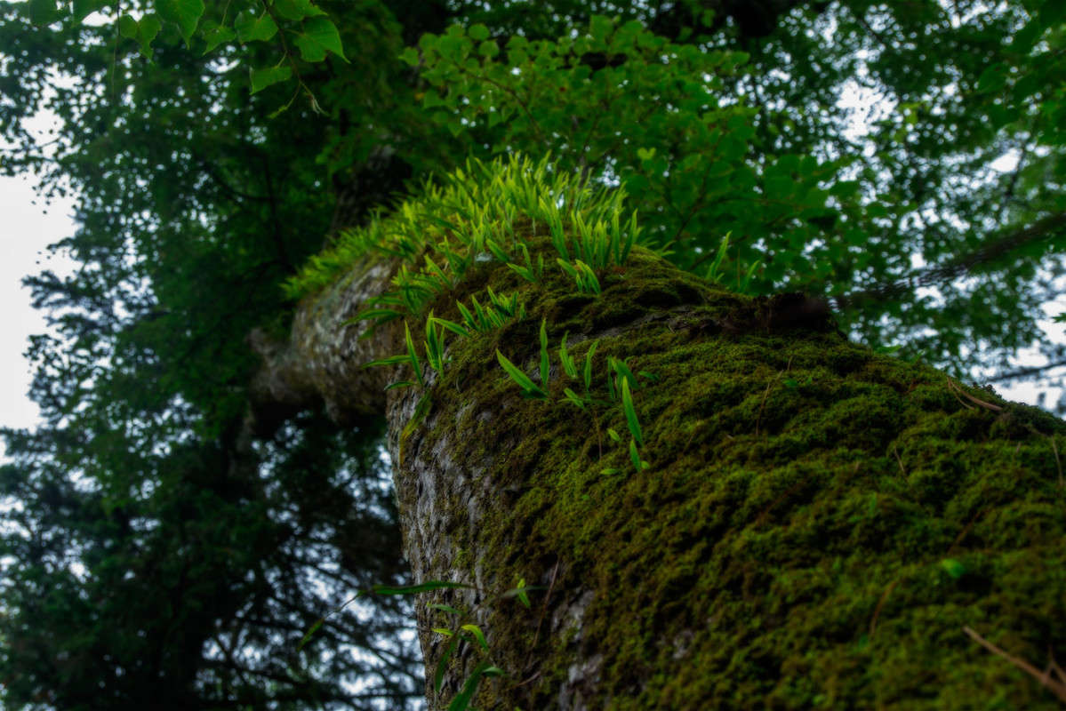 *** ����� ������� ��������� �� PhotoGeek.ru #������ ��� �������