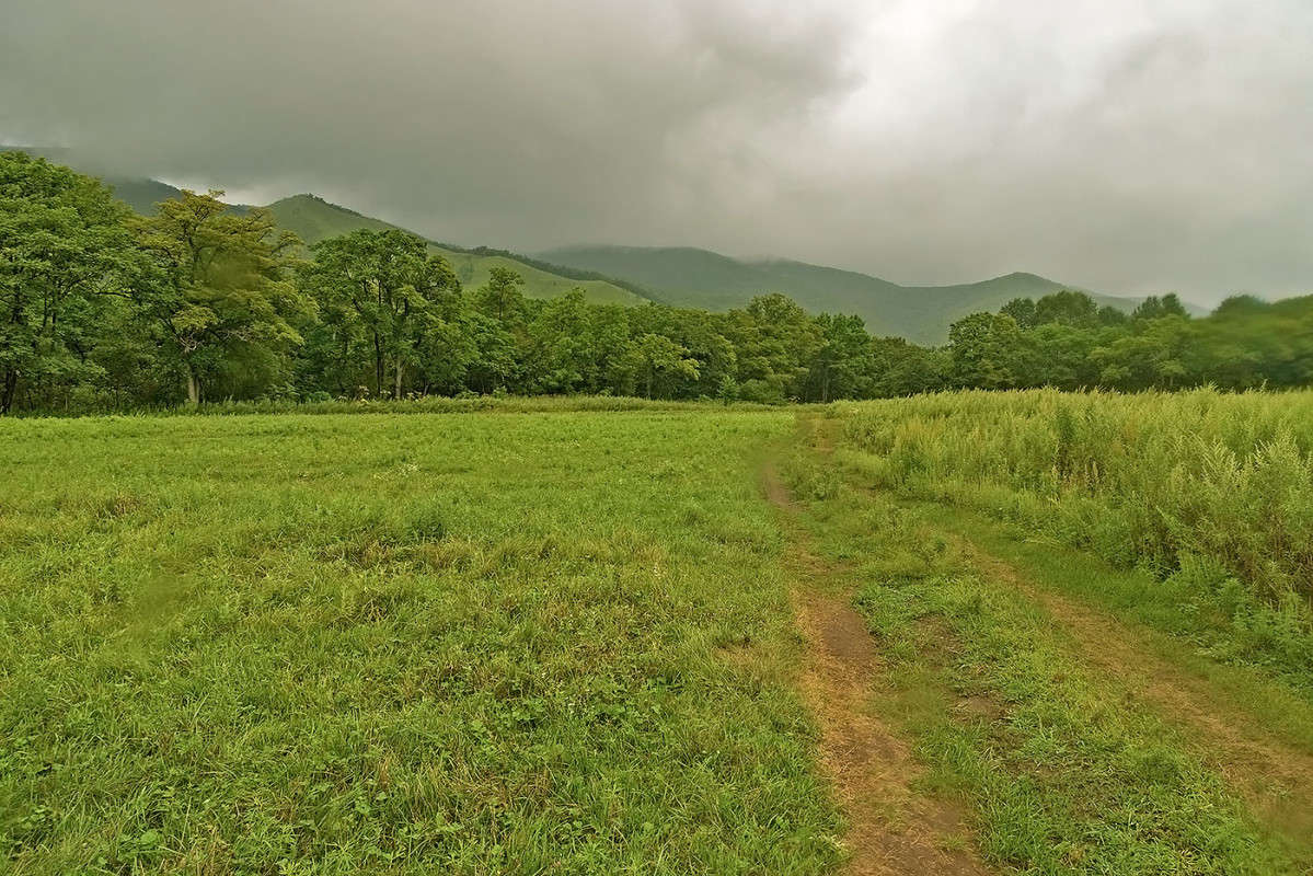 ��� ������ ����� ������� ��������� �� PhotoGeek.ru #������ ��� �������