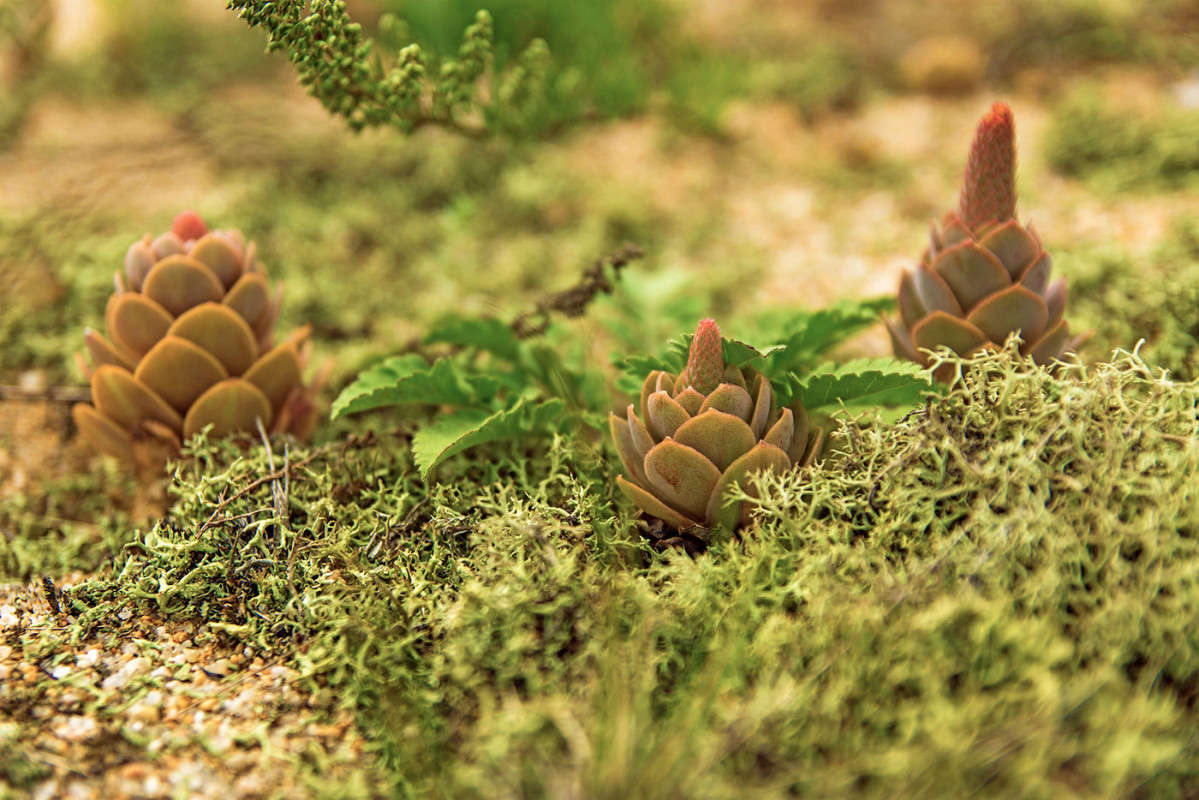 ��� ��������... ����� ������� ��������� �� PhotoGeek.ru #������ ��� �������