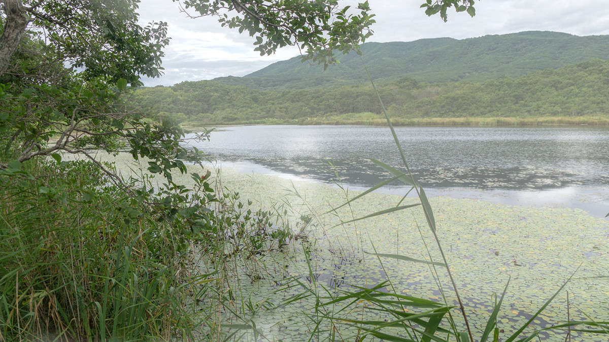 ������� ������� ����� ������� ��������� �� PhotoGeek.ru #������ ��� �������