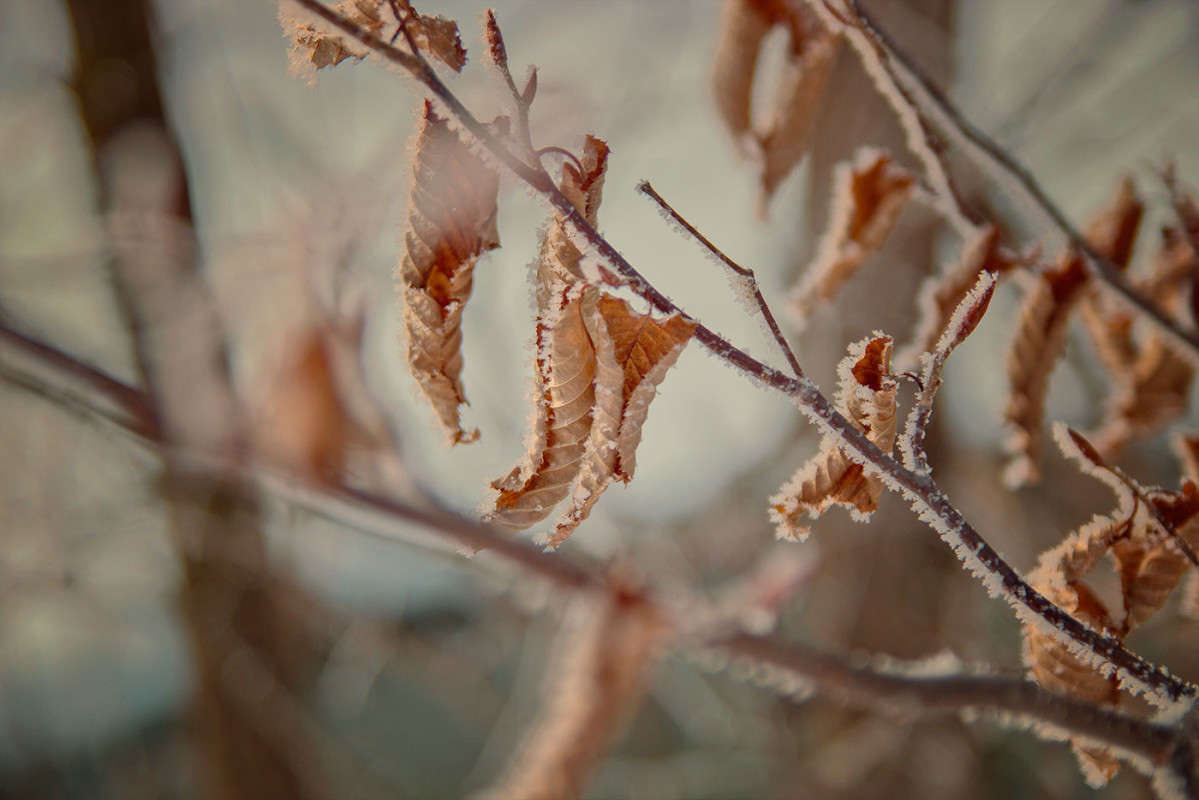 *** ����� ������� ��������� �� PhotoGeek.ru #������ ��� �������