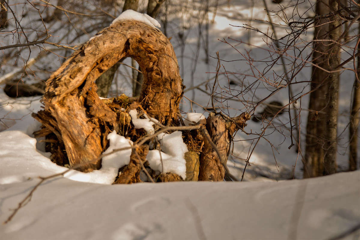 ����� � ��� ����� ������� ��������� �� PhotoGeek.ru #������ ��� �������