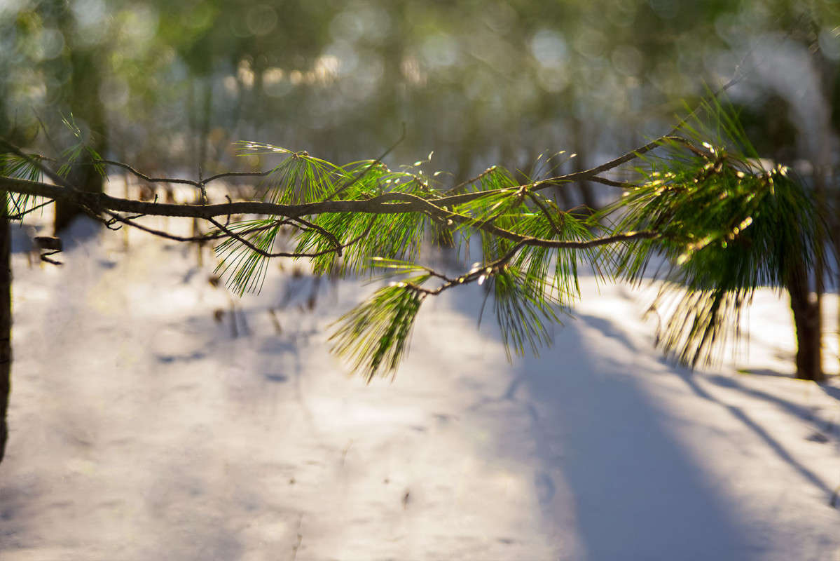 **** ����� ������� ��������� �� PhotoGeek.ru #������ ��� �������