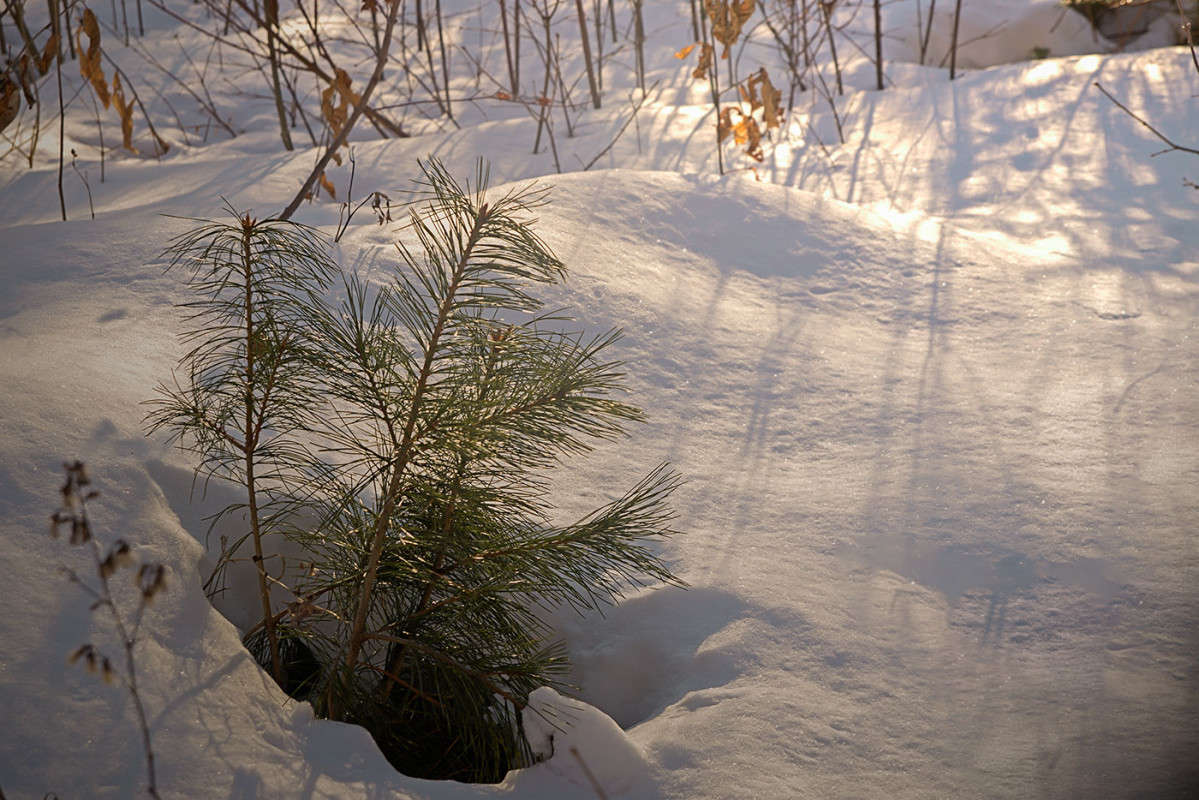 � ���� �������� ������... ����� ������� ��������� �� PhotoGeek.ru #������ ��� �������