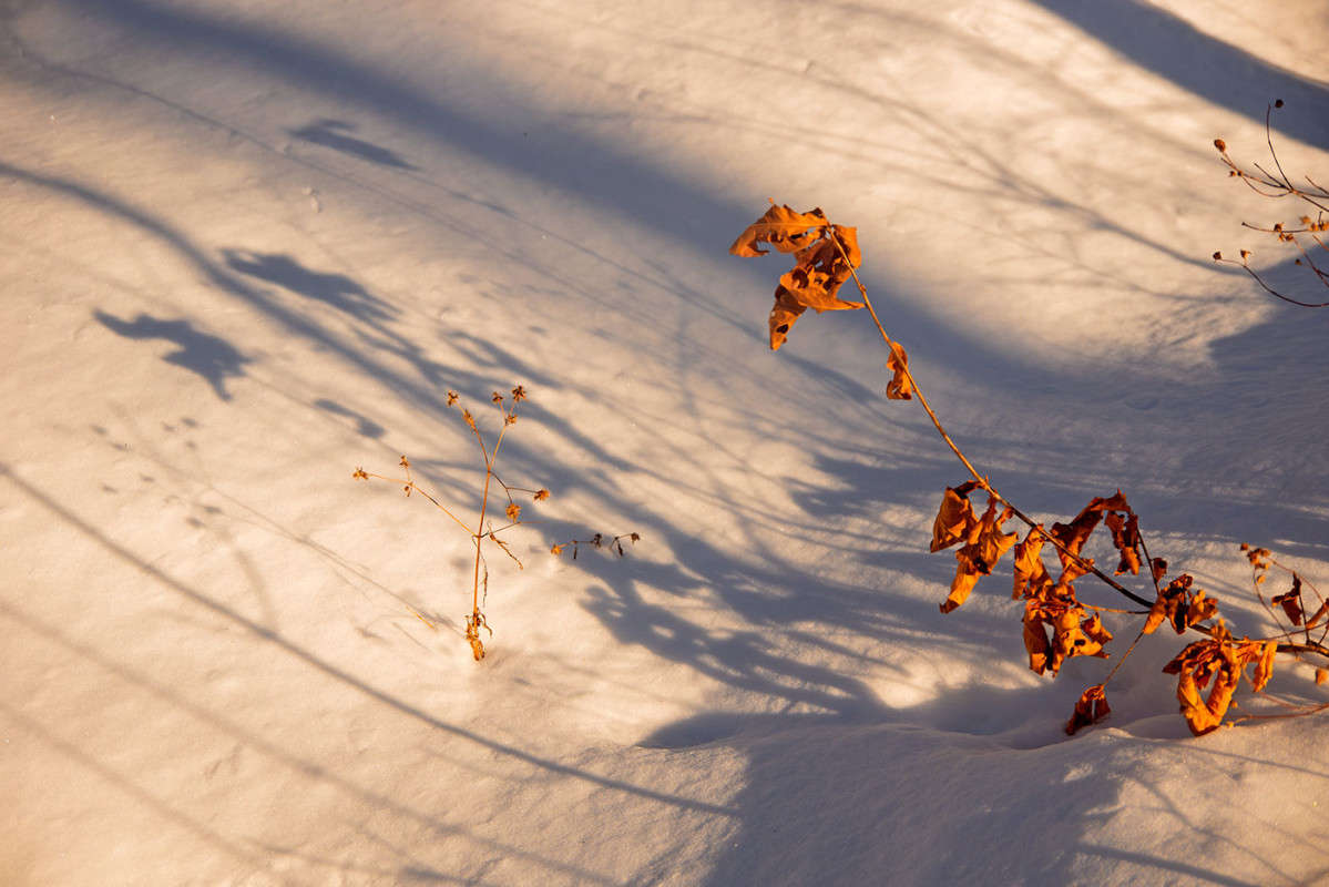 *** ����� ������� ��������� �� PhotoGeek.ru #������ ��� �������