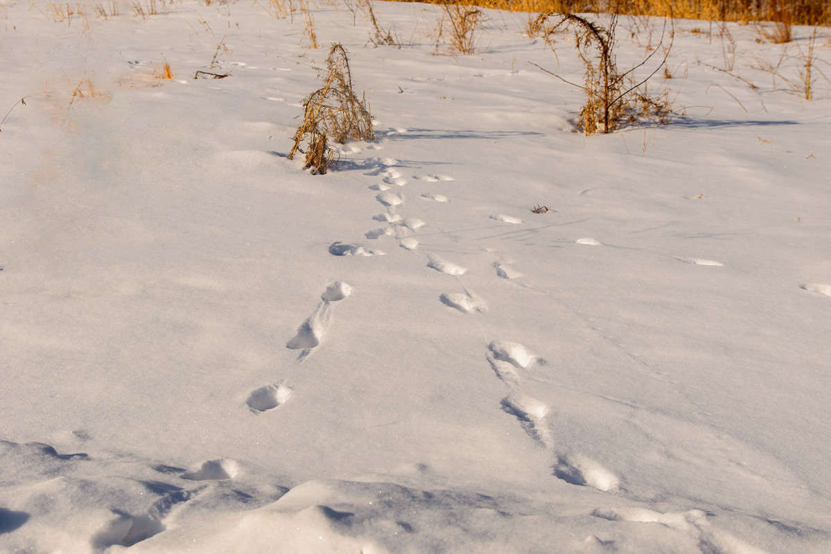 *** ����� ������� ��������� �� PhotoGeek.ru #������ ��� �������