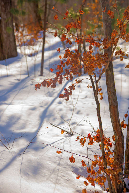 ������ ����� ����� ������� ��������� �� PhotoGeek.ru #������ ��� �������