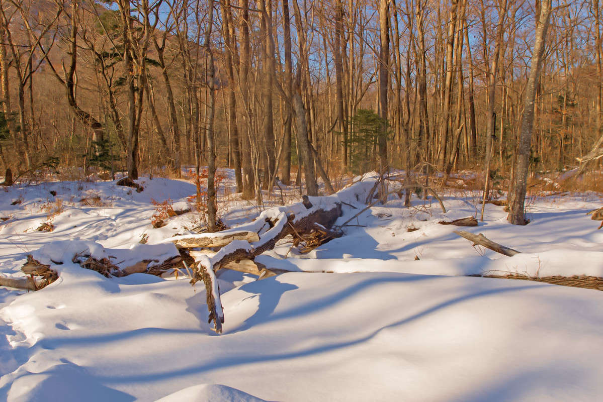 ������ ����� ����� ������� ��������� �� PhotoGeek.ru #������ ��� �������