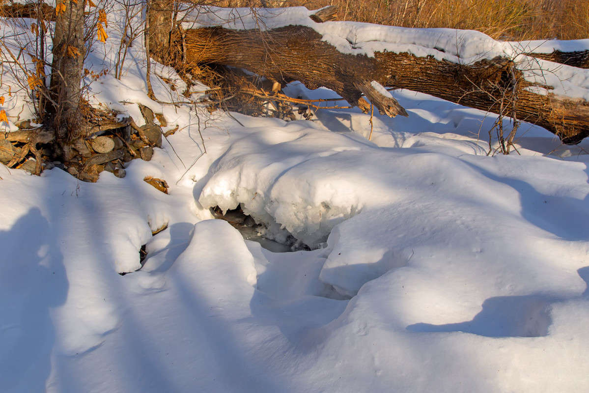 ������ ����� ����� ������� ��������� �� PhotoGeek.ru #������ ��� �������