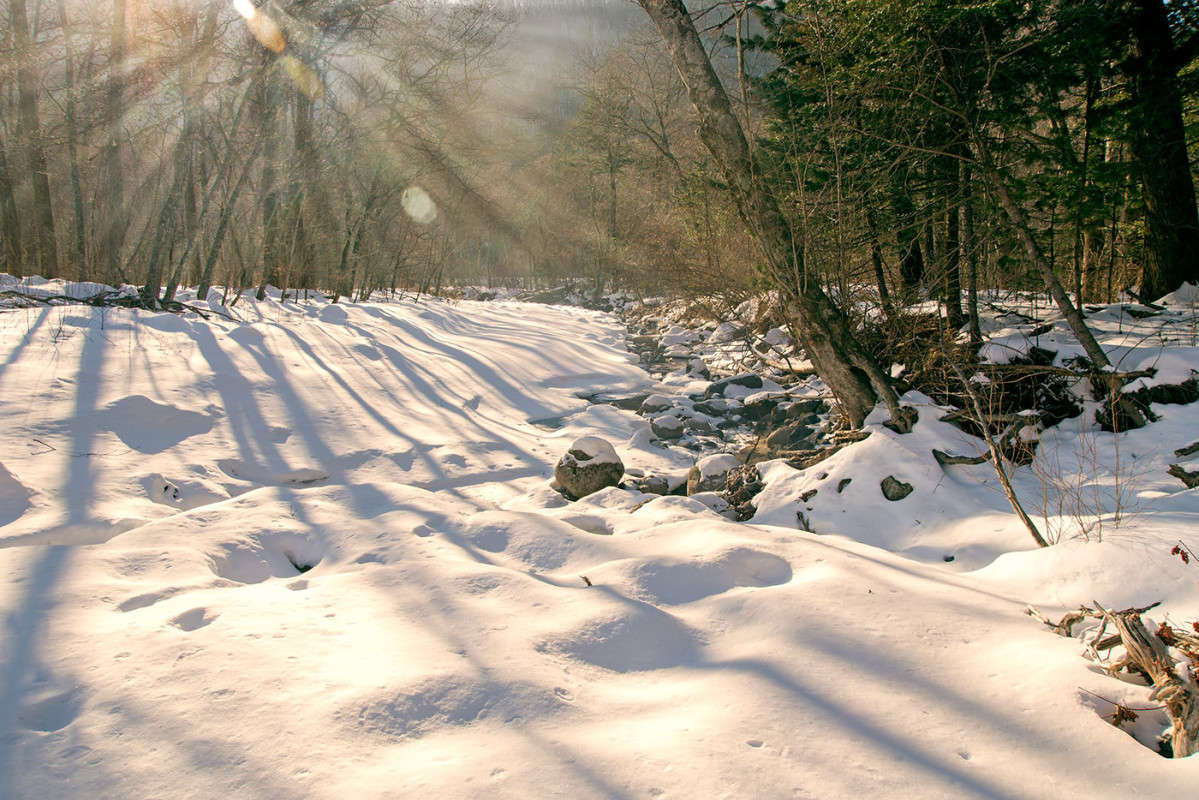 ������ ����� ����� ������� ��������� �� PhotoGeek.ru #������ ��� �������