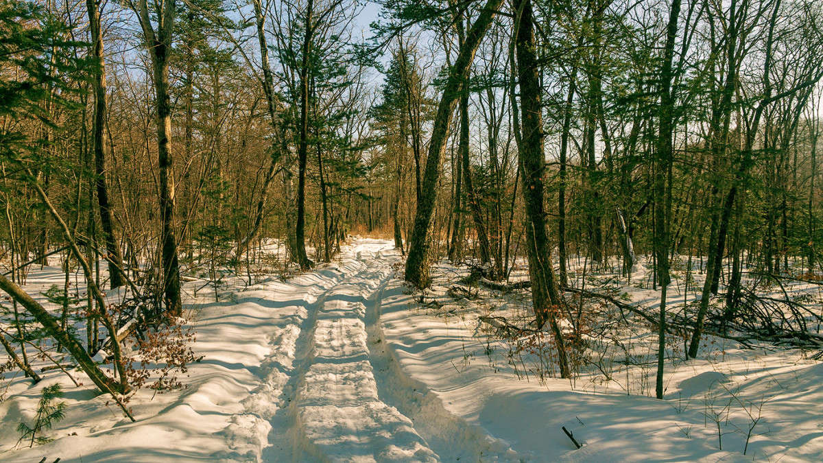 *** ����� ������� ��������� �� PhotoGeek.ru #������ ��� �������