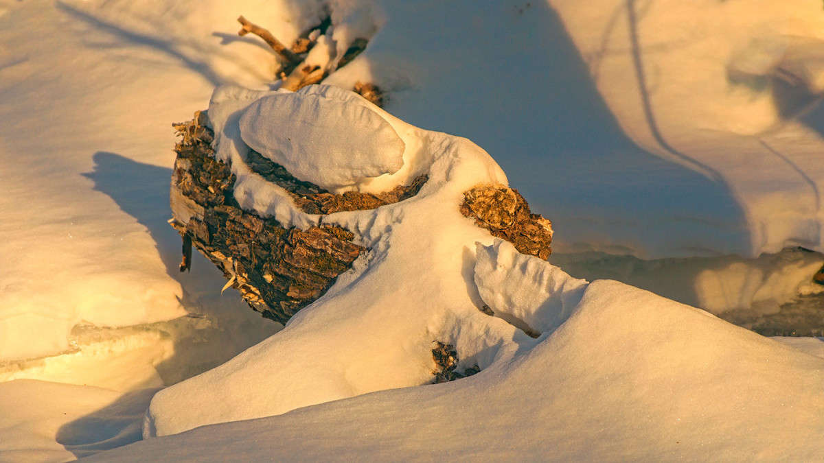 *** ����� ������� ��������� �� PhotoGeek.ru #������ ��� �������