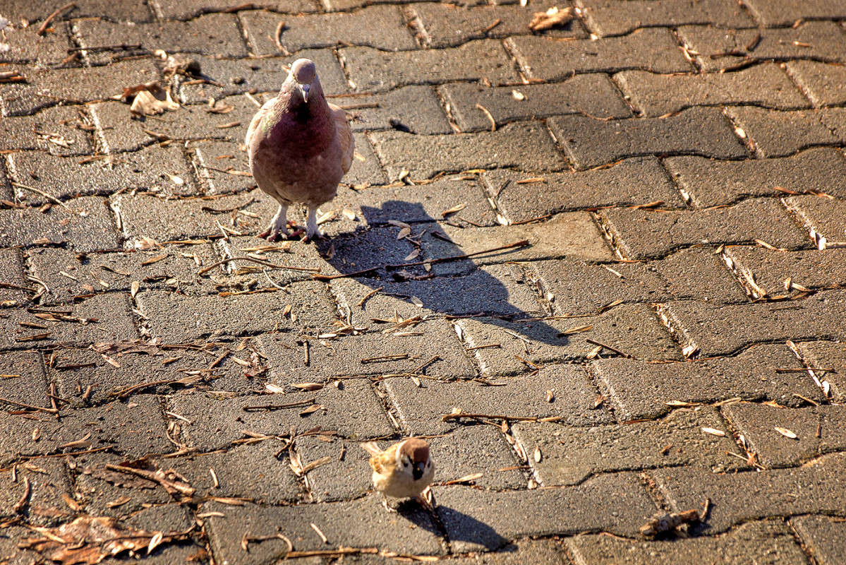 *** ����� ������� ��������� �� PhotoGeek.ru #�������� ���