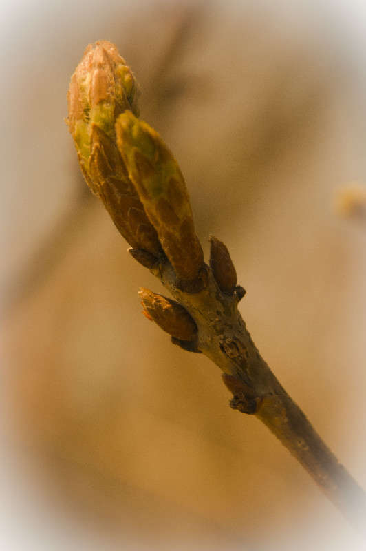 ����������� ����� ������� ��������� �� PhotoGeek.ru #������ ��� ������� #����� ��������������