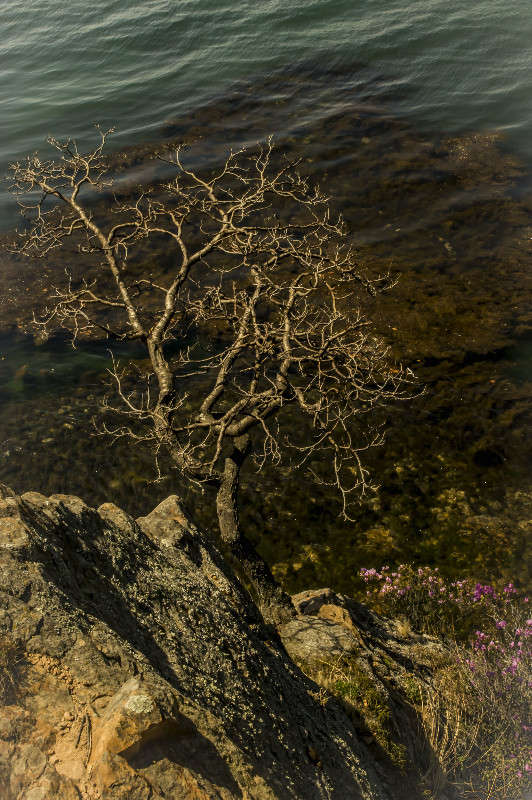 ��� ����� ����� ������� ��������� �� PhotoGeek.ru #������ ��� �������