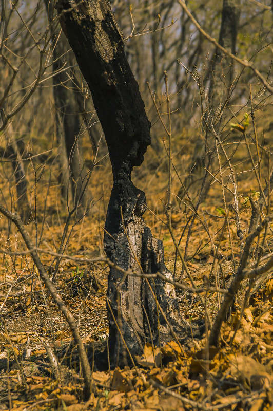 ��������� ����� ������� ��������� �� PhotoGeek.ru #������ ��� �������