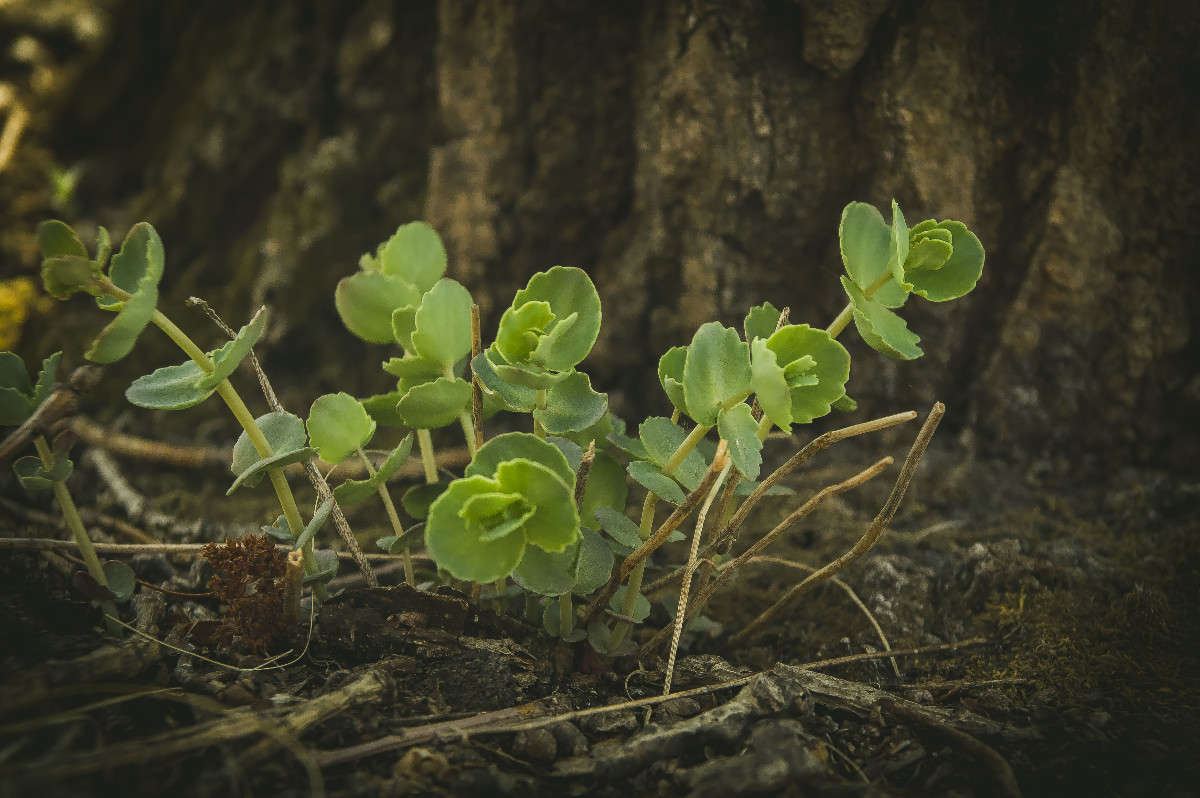 ���������� ����� ������� ��������� �� PhotoGeek.ru #������ ��� �������