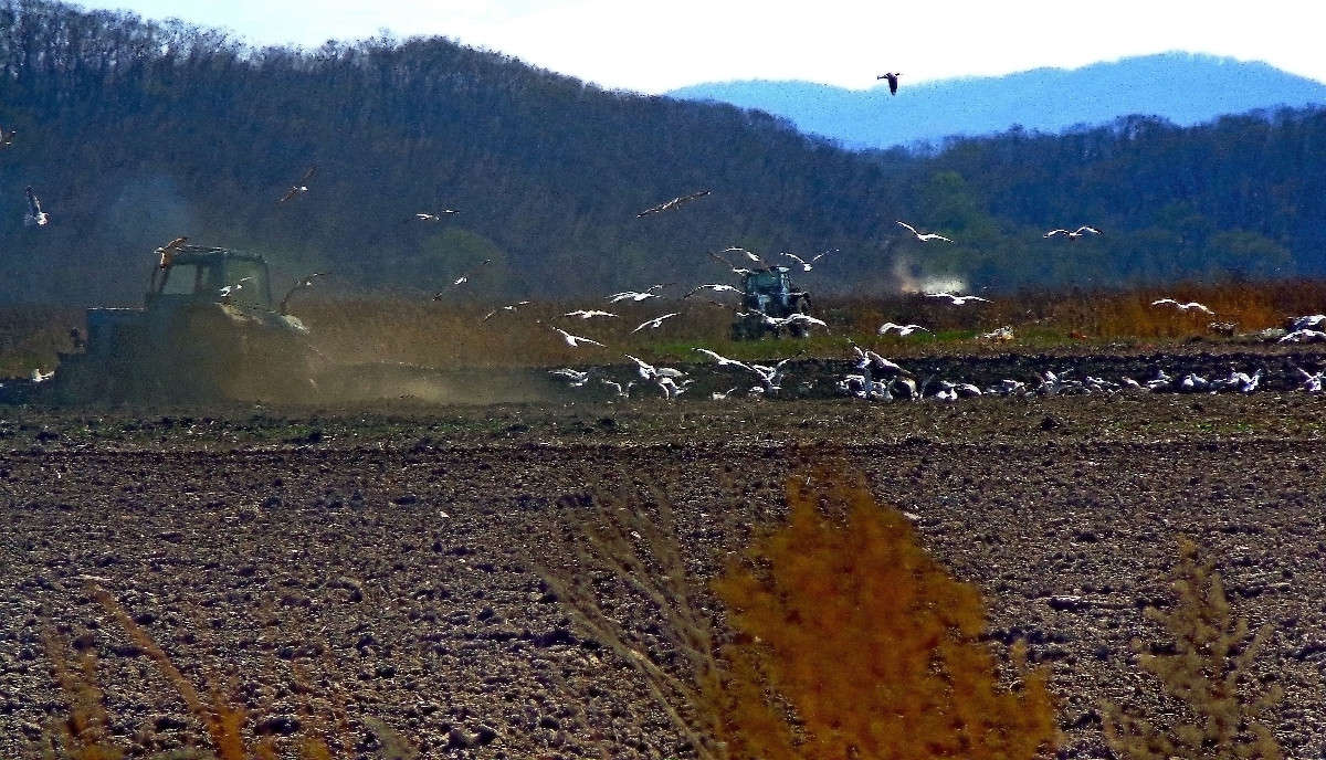 ����, ����... ����� ������� ��������� �� PhotoGeek.ru #������ ��� �������