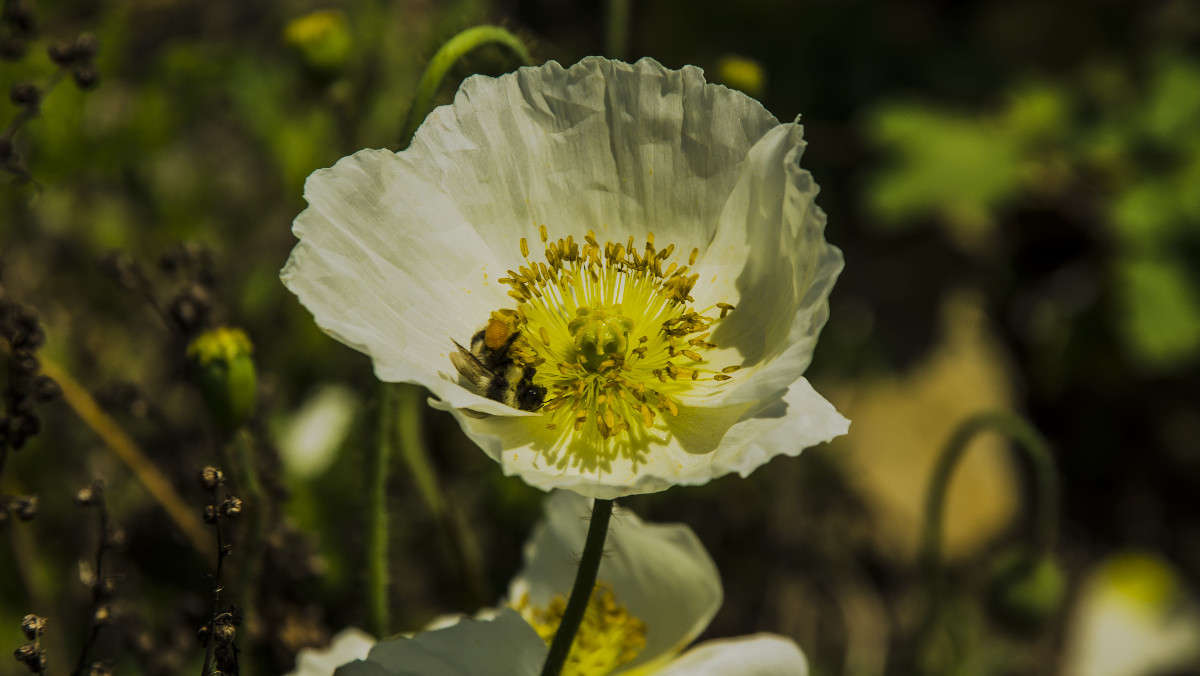 ��������� ����� ������� ��������� �� PhotoGeek.ru #������ ��� �������