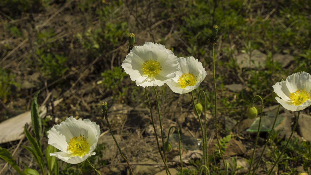 ����� ���� ����� ������� ��������� �� PhotoGeek.ru #������ ��� �������