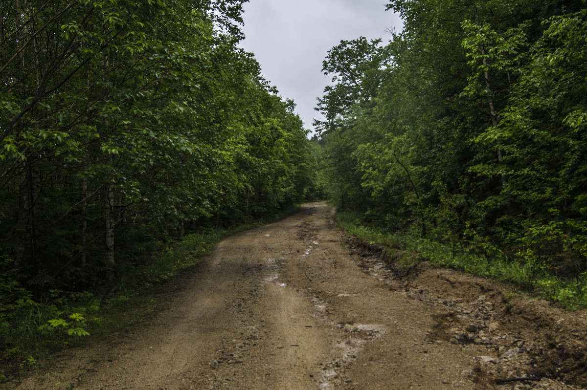 ����� � ����� ����� ������� ��������� �� PhotoGeek.ru #������ ��� �������