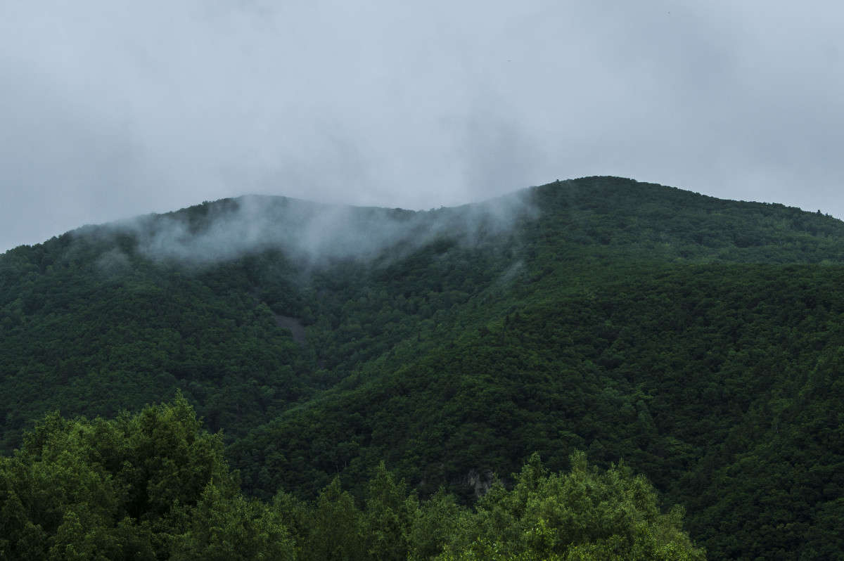 *** ����� ������� ��������� �� PhotoGeek.ru #������ ��� �������