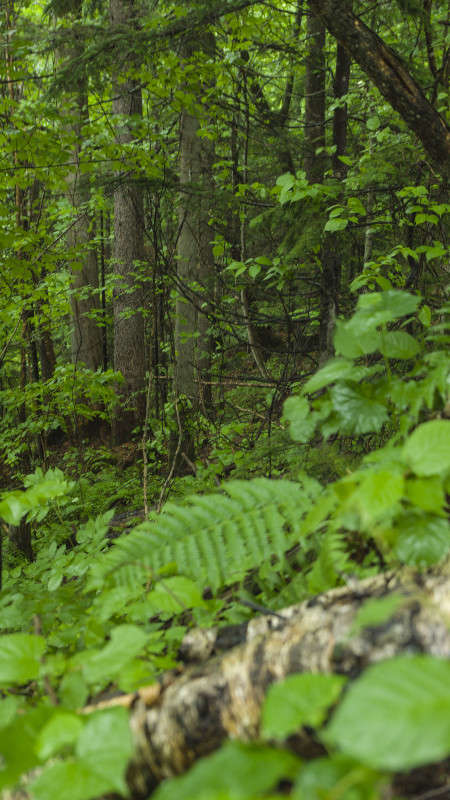 ����� ����� ������� ��������� �� PhotoGeek.ru #������ ��� �������