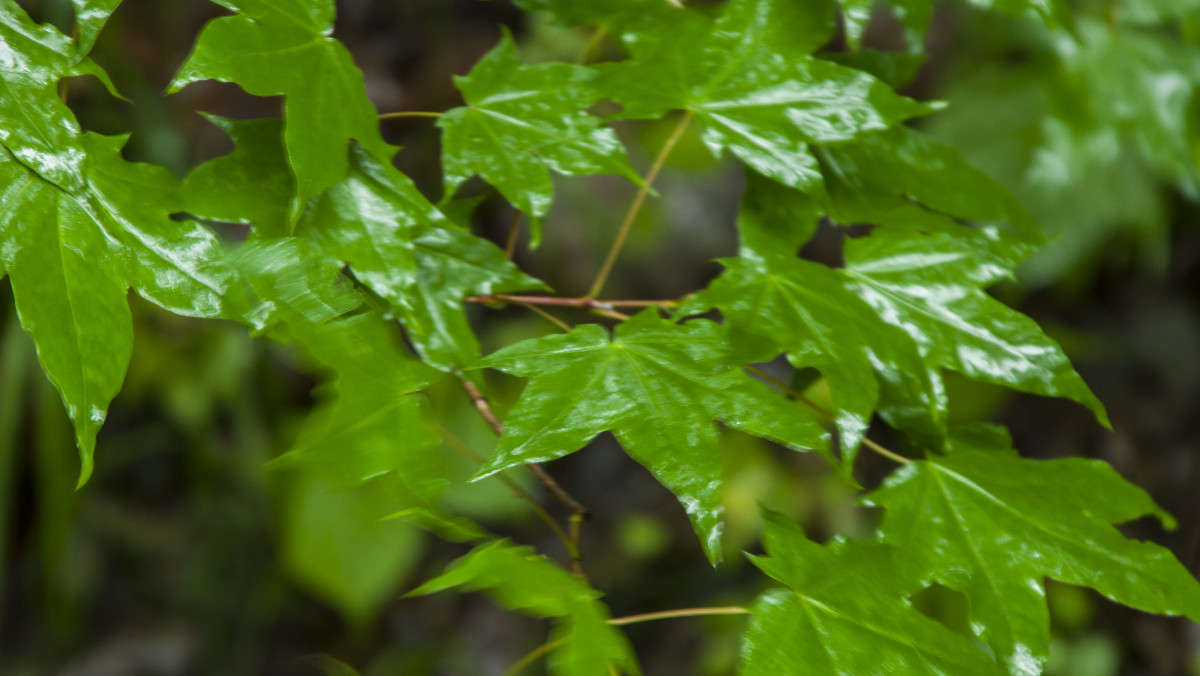 ����� ����� ����� ������� ��������� �� PhotoGeek.ru #������ ��� �������