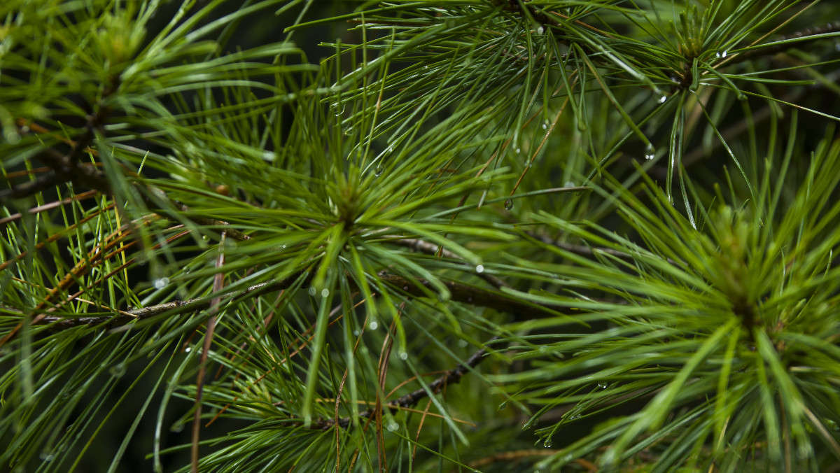 ������ ����� ������� ��������� �� PhotoGeek.ru #������ ��� �������