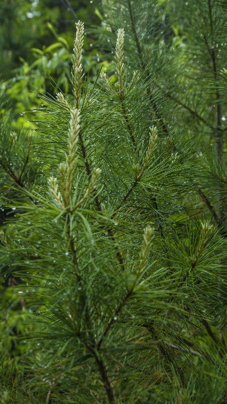 ������ ����� ������� ��������� �� PhotoGeek.ru #������ ��� �������