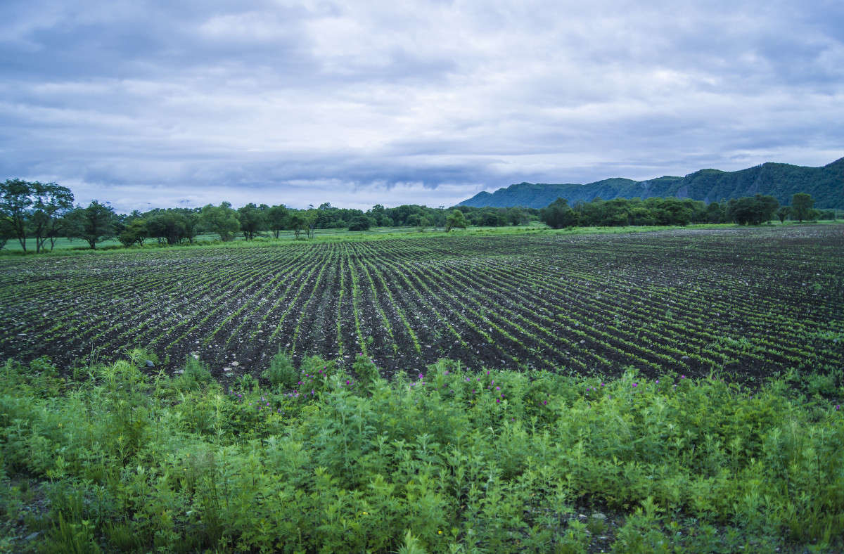 ����, ������� ����... ����� ������� ��������� �� PhotoGeek.ru #������ ��� �������