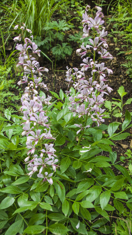 *** ����� ������� ��������� �� PhotoGeek.ru #������ ��� �������