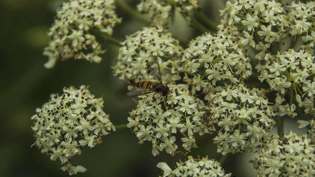 ������� �� ������� ����� ������� ��������� �� PhotoGeek.ru #������ ��� �������