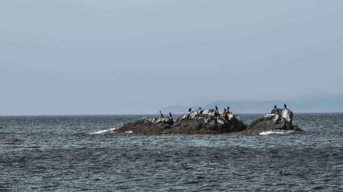 ������ �������� ����� ������� ��������� �� PhotoGeek.ru #������ ��� �������