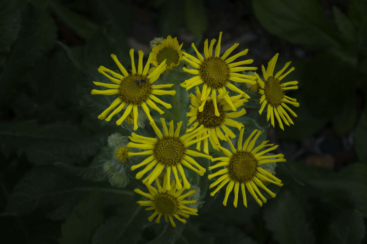 ������ ����� ������� ��������� �� PhotoGeek.ru #������ ��� �������