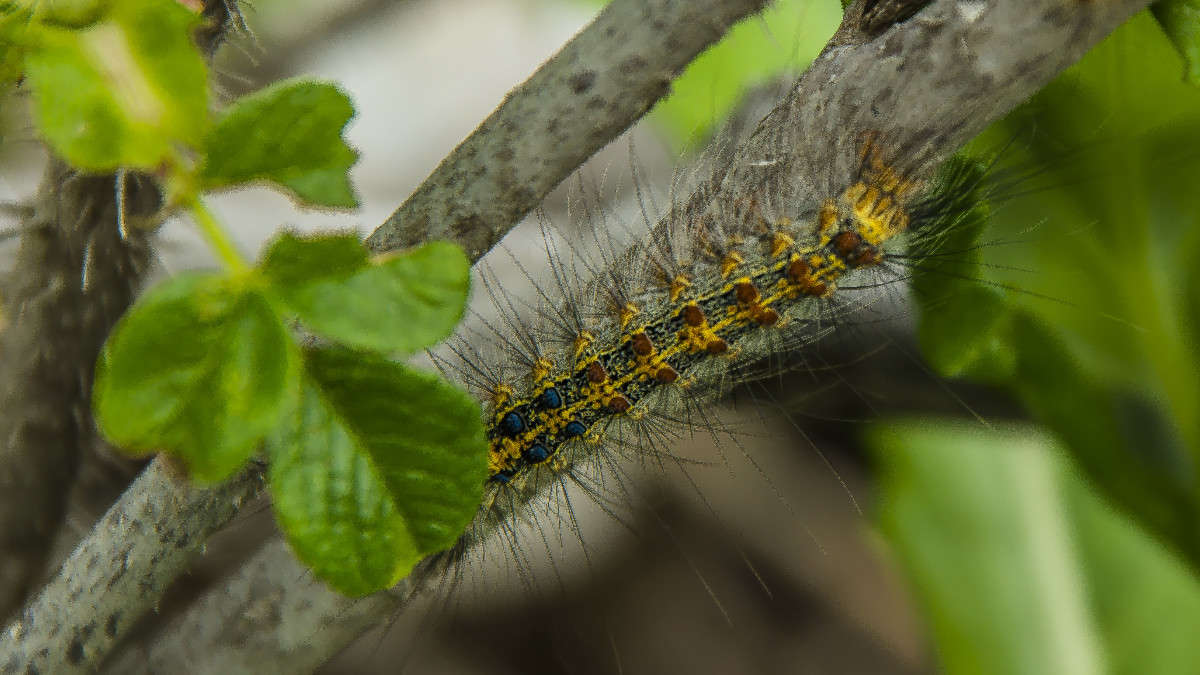 �������� ����� ������� ��������� �� PhotoGeek.ru #������ ��� �������